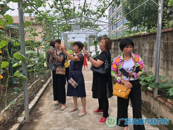 职业教育活动周系列报道之三——科技引领现代农业  培训服务社会经济
