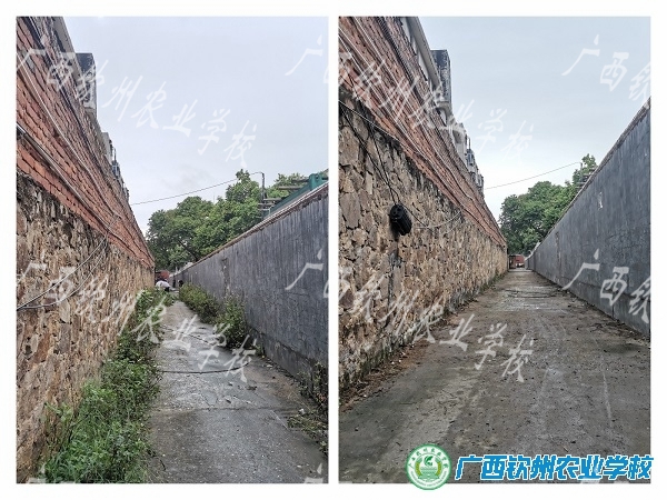 清理围墙杂草，我们与围墙干干净净过“两节”                   ——记我校第一党支部第三季度为民办好事实事活动
