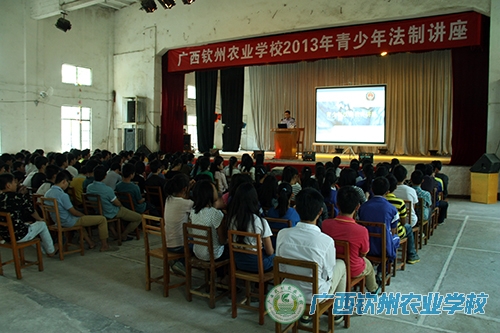 学生认真聆听法制教育课