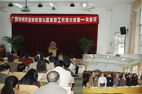 我校第九届教代会第一次会议胜利召开