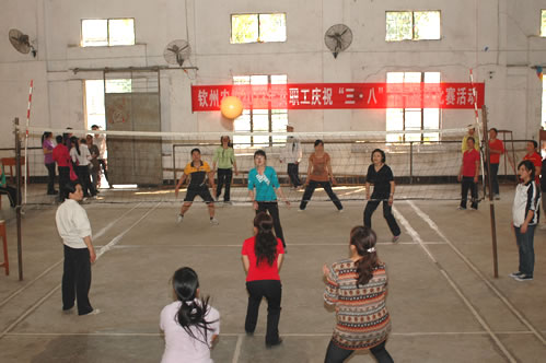 我校妇委会“三八”节活动及获表彰情况