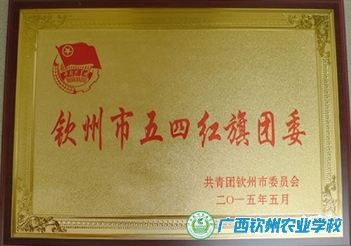 我校团委荣获2014年度“钦州市五四红旗团委”称号