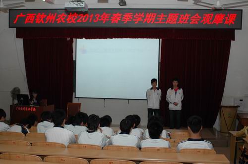 我校举行2013年春季学期主题班会课观摩活动