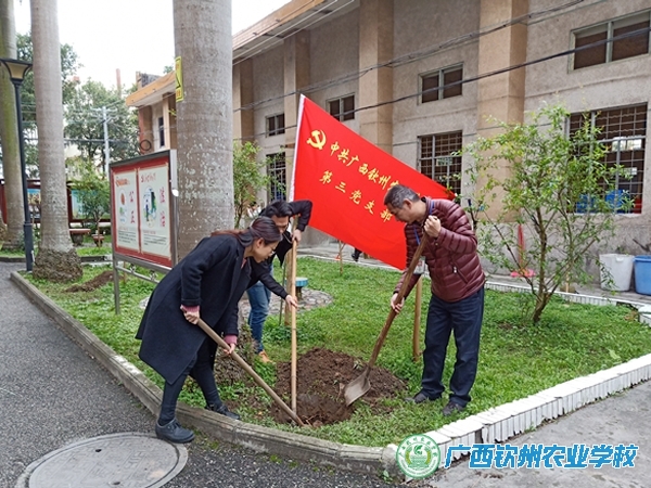 第三党支部开展“植绿树，悟党性”主题党日活动