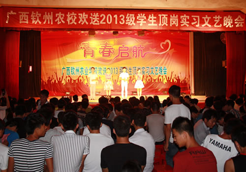 我校欢送2013级学生顶岗实习文艺晚会精彩上演