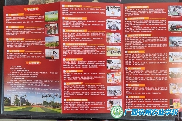 学校新时代十年发展成就成效之四 倾心谋略：调整专业促进新发展