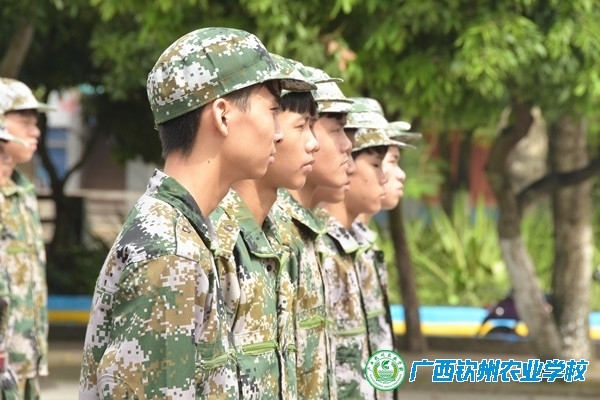 斗志昂扬迎军训——我校2017级新生军训系列报道之二