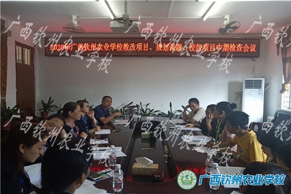 我校召开2020年教改项目、规划课题、校级项目中期检查会议