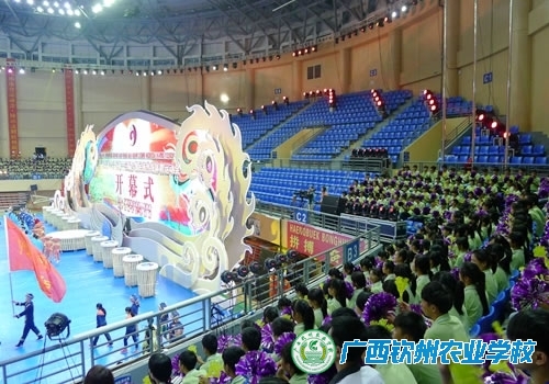 我校学生参加广西第13届少数民族传统体育运动会开幕式表演