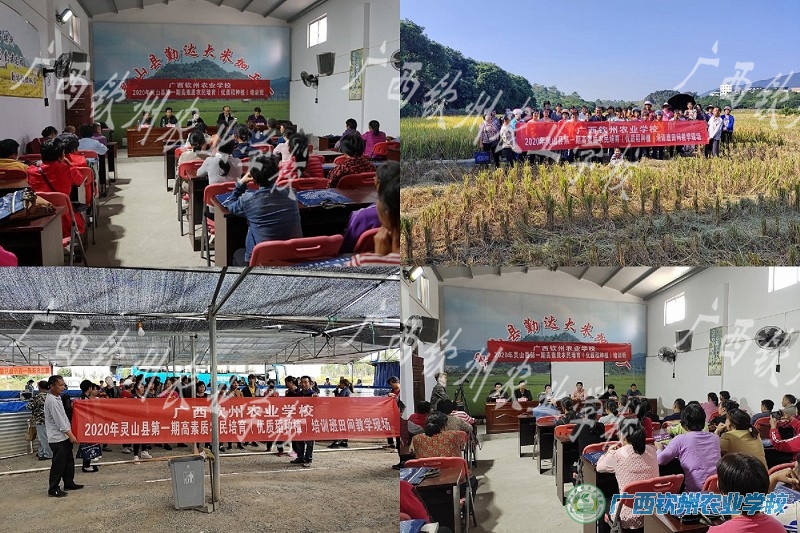 我校圆满完成2020年度灵山县高素质农民培育项目任务