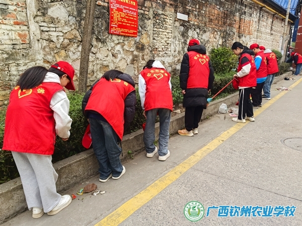 学雷锋我先行，志愿服务暖人心——学雷锋活动月系列报道（二）