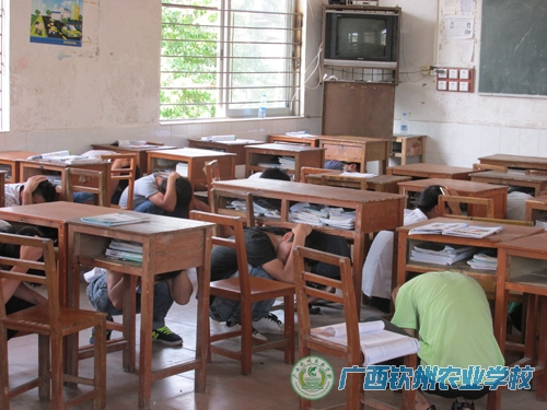 我校举行防震避险应急演练