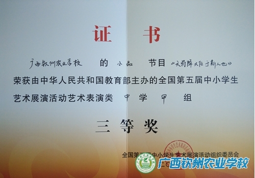 我校师生在全国（广西）第五届中小学生艺术展演活动获奖的喜报