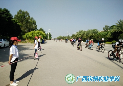 我校志愿者助力广西公路自行车世界巡回赛预热赛