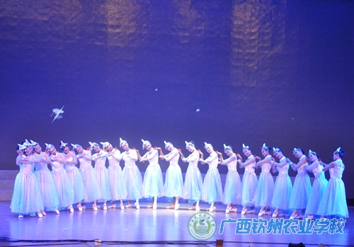 我校参加钦州市直机关庆祝中国共产党成立95周年文艺晚会