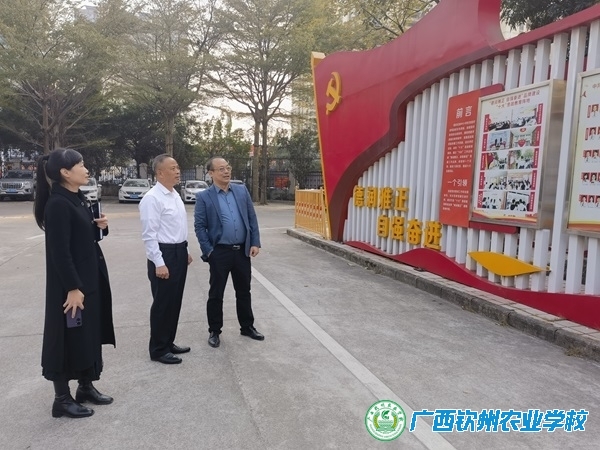 党建交流聚合力，互学互鉴促提升——我校党委书记伍国樑率队到钦州市第三中学交流学习
