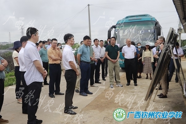 2023年全区依托学校培训移民劳动力工作座谈会在钦召开