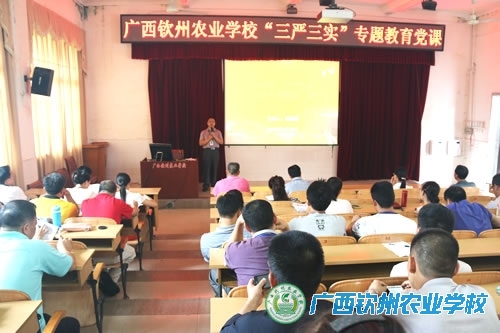我校举行“三严三实”专题党课