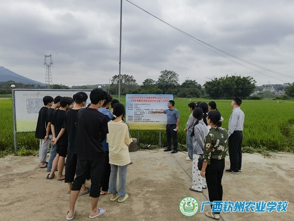产教融合新篇章，耕学交替育英才——大力开展水稻主要病虫害防控技术试验活动