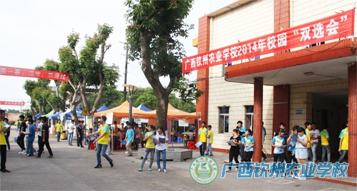 我校举办2014年校园“双选会”