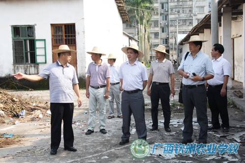 自治区农业厅灾后恢复生产工作组到我校视察和指导灾后重建工作