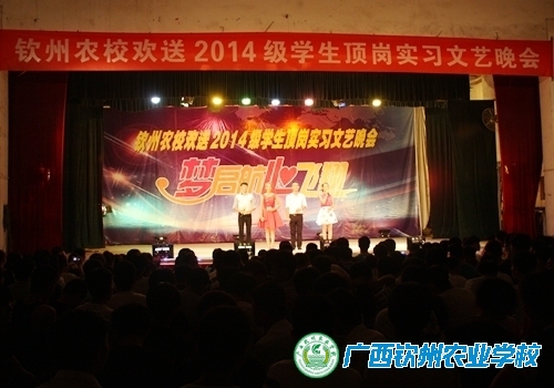 “梦启航 心飞翔”——我校举行欢送2014级学生顶岗实习文艺晚会