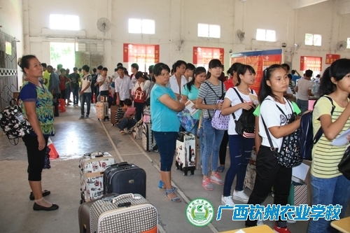又是一年迎新时——我校2015级新生报到纪实