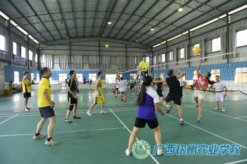 我校2015年庆“国庆”教职工气排球比赛圆满落幕