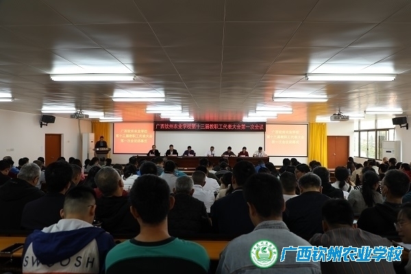凝心聚力谋发展，踔厉奋发绘新篇——我校第十三届教代会第一次会议胜利闭幕