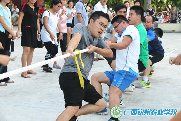 我校举行庆祝第33个教师节教职工拔河比赛