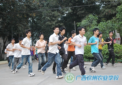 我校坚持开展阳光体育长跑活动