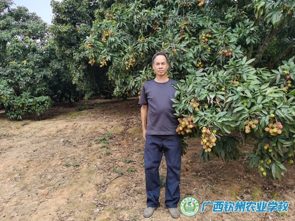 果园逐梦人——施显全的乡村振兴致富路