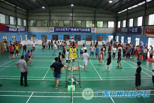 我校2015年教职工庆“五一”气排球赛圆满落幕
