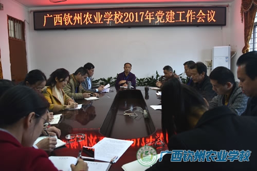 我校召开党建工作会议