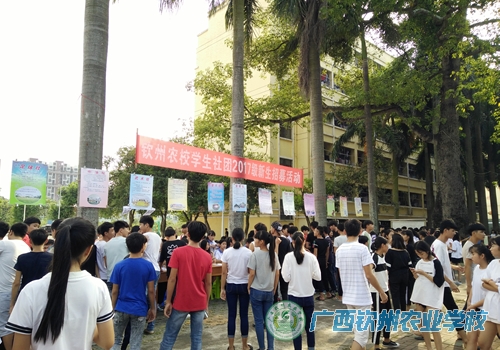 学生社团2017级新生招募活动火热开展