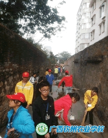 团委组织青年志愿者开展志愿服务活动