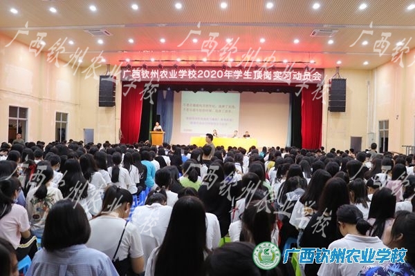 我校召开2020年学生顶岗实习动员会