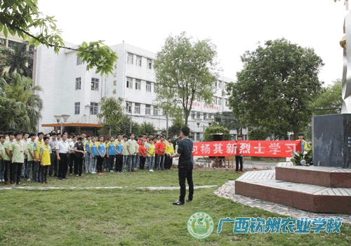 钦农师生清明祭英烈