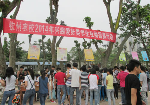 兴趣爱好类学生社团招募活动火热进行中