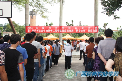 钦州市第三届校园科技文化活动