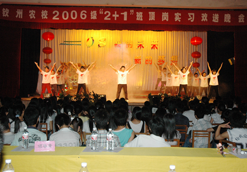 校团委举办2006级“2+1”班顶岗实习欢送晚会
