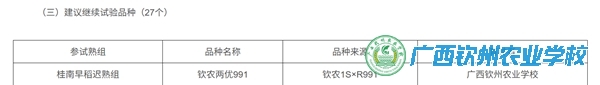 农业职教显特色 校企合作出成绩 ——“钦农两优991”以第一名入选2025年广西水稻第二年生产实验