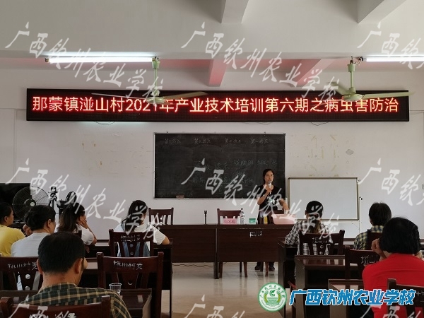 我校专业教师到那蒙镇湴山村开展产业培训及课题研讨活动
