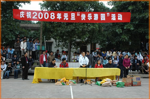 庆祝2008年元旦快乐游园活动