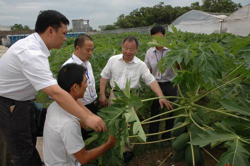 自治区农业厅巡视员韦吉田到我校调研