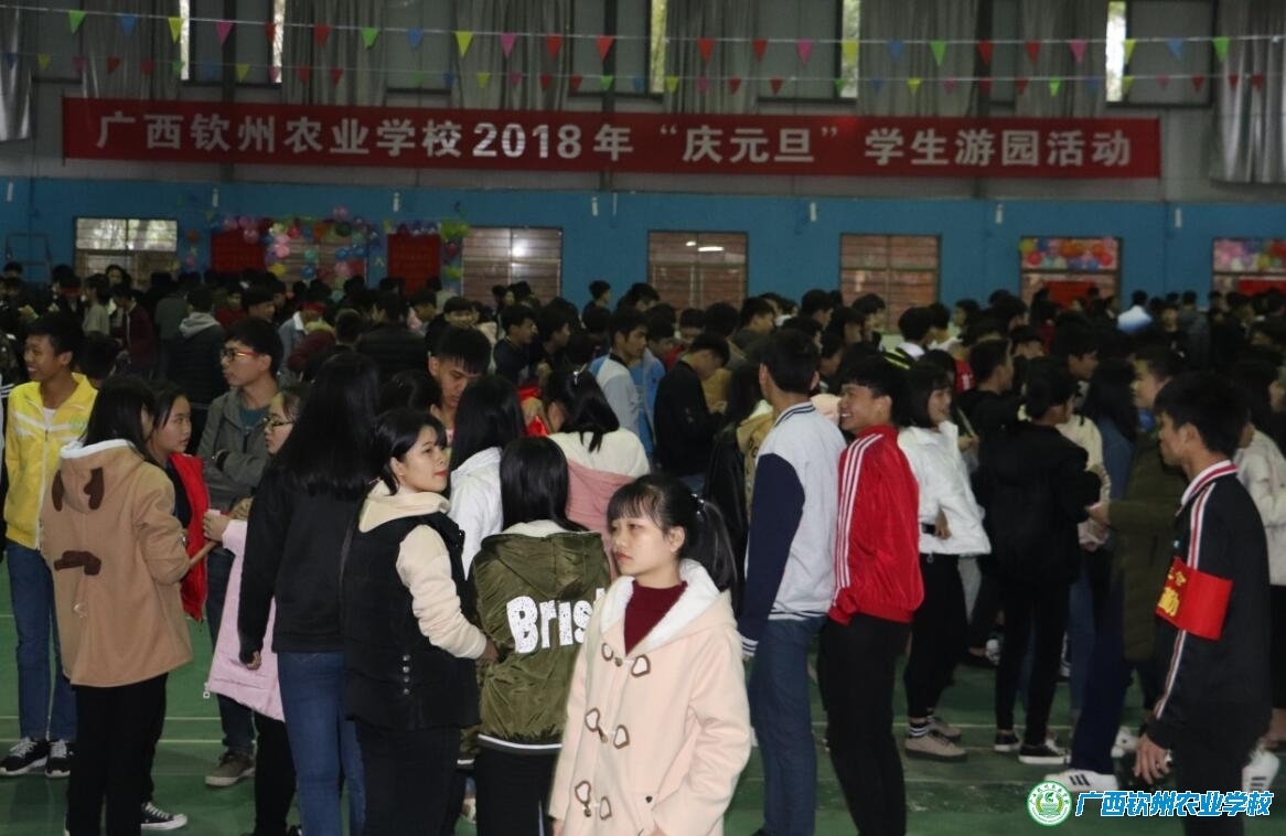 我校举行“庆祝元旦”学生游园活动