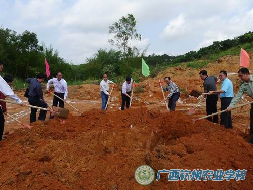 我校参加钦州市新一轮扶贫开发攻坚战党员志愿者服务活动