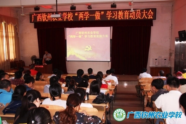 我校召开“两学一做”动员大会