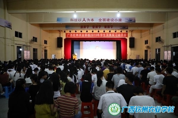 我校召开2019年学生顶岗实习动员大会