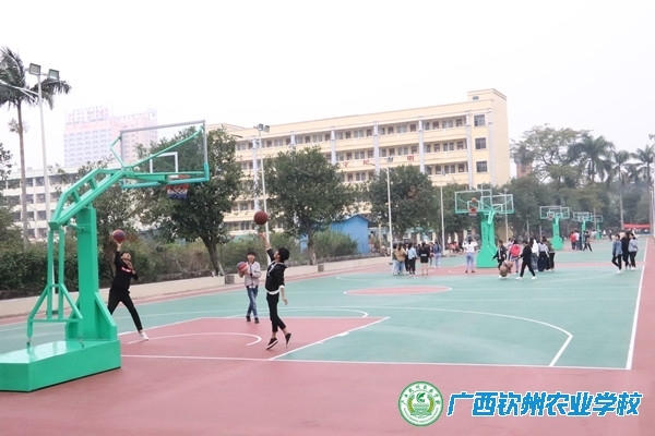 新球场   新提升   新风采——广西钦州农业学校教职工体育竞技记实